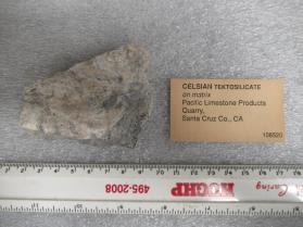 Celsian