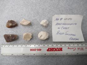 Montmorillonite in Chert