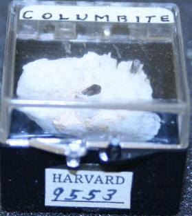 Manganocolumbite