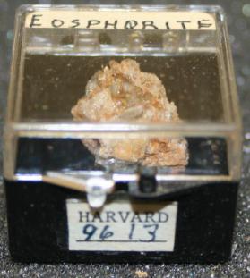 Eosphorite