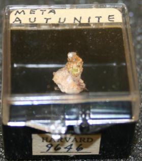 Meta-autunite