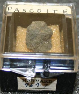 Pascoite