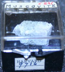 Muscovite