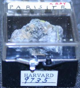 Parisite