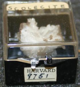 SCOLECITE