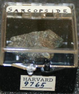 Sarcopside