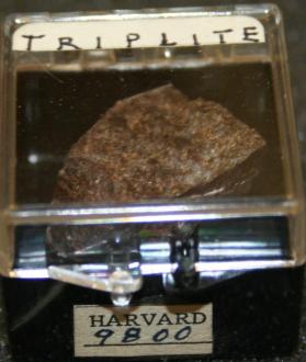 Triplite
