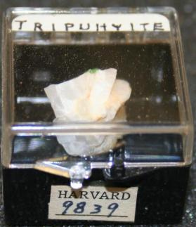 Tripuhyite