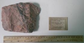 Fine grained band in syenite