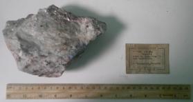 Syenite Rich in Sodalite and Nepheline