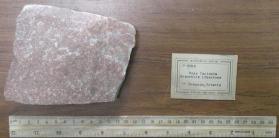 "Rose fantasia" Grenville Limestone