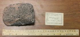 Amphibolite band in syenite