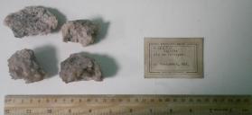 Calcite crystals on feldspar