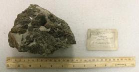 Scapolite crystallized against calcite