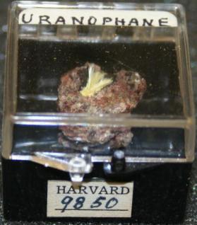 Uranophane