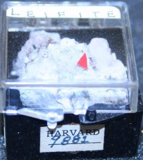 Leifite