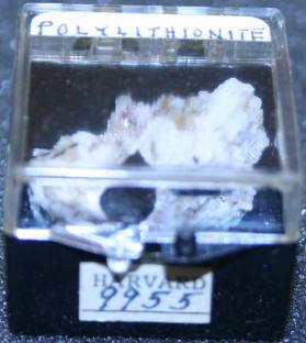 Polylithionite