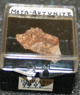 Meta-autunite