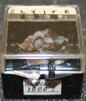 Elyite