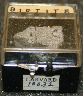 Biotite