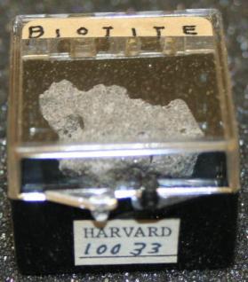 Biotite