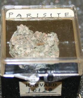 Parisite