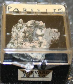 Parisite
