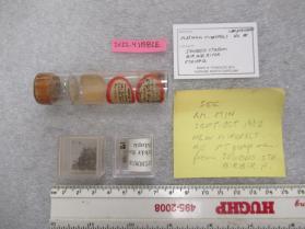 Platinum Minerals