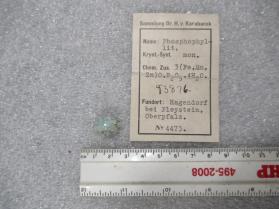 Phosphophyllite