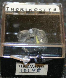 Thorikosite