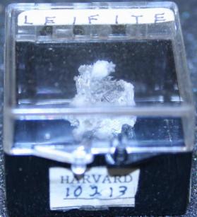 Leifite