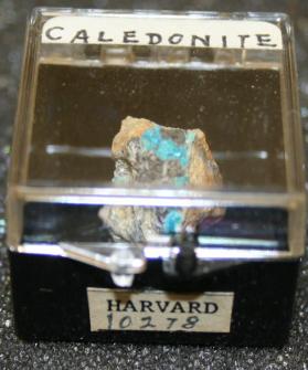Caledonite