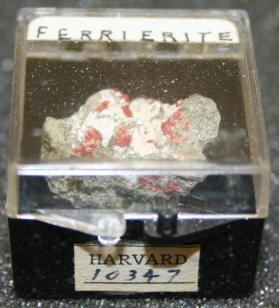 Ferrierite