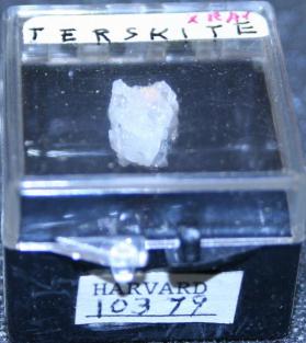 Terskite