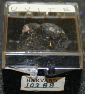 Uvite