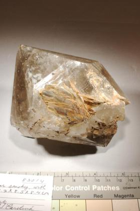 smoky quartz with Muscovite