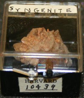 Syngenite