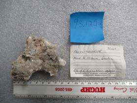 Polylithionite