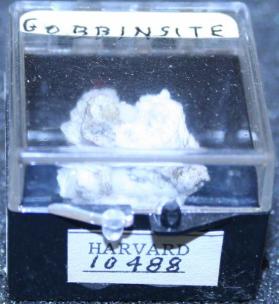 Gobbinsite