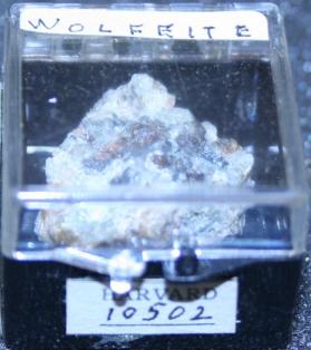 Wolfeite