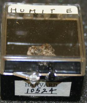 Humite