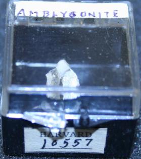 AMBLYGONITE