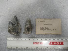 DATOLITE