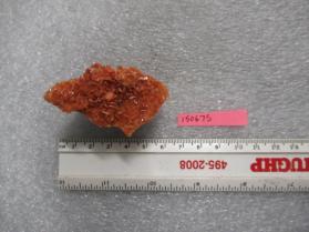 Celestine