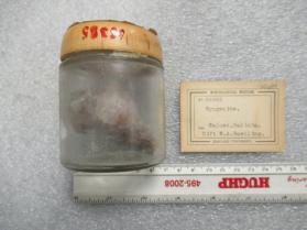 Syngenite