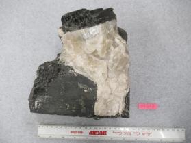 Biotite