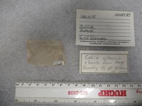 CALCITE