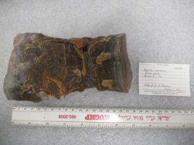 BARITE