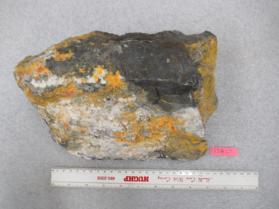 Picropharmacolite with Realgar