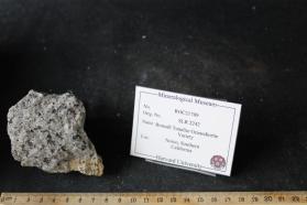 Granodiorite